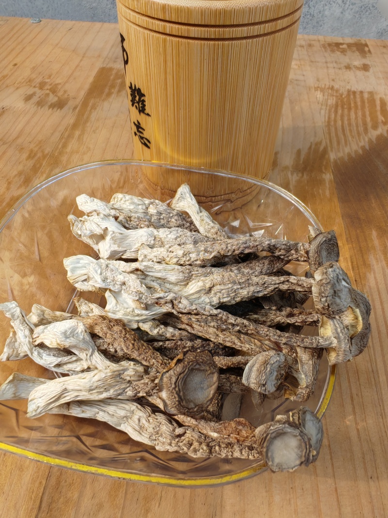 精品鹿茸菇干货批发质量好的很价格美丽量大从优大量现货
