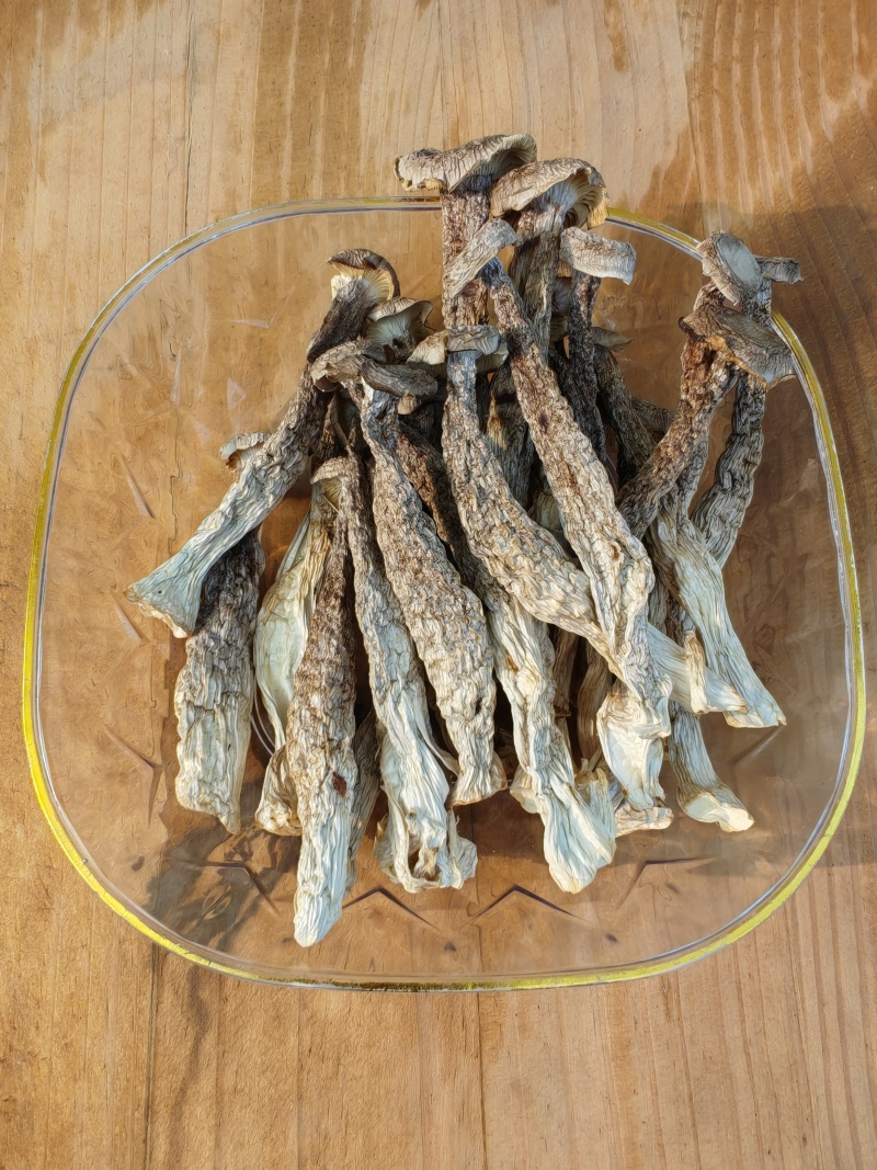 精品鹿茸菇干货批发质量好的很价格美丽量大从优大量现货