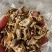精品好干鹿茸菇碎片大量现货无土无沙无碎末