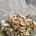 精品好干鹿茸菇碎片大量现货无土无沙无碎末