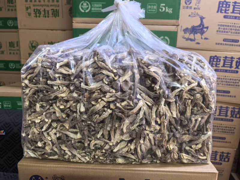 精品鹿茸菇干货大量现货批发无硫无增重剂净重