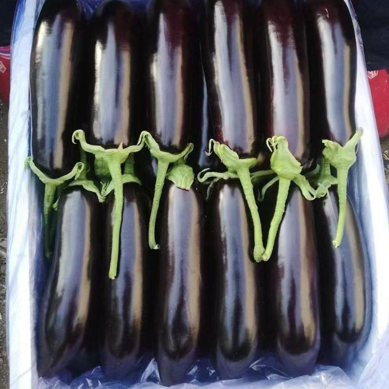 茄子