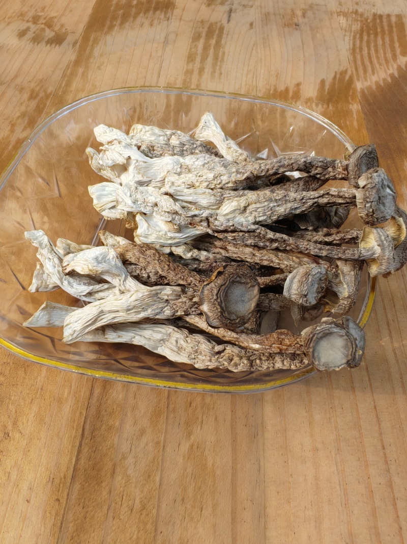 精品鹿茸菇干货菌菇干货批发零售质量好价格低大量现货