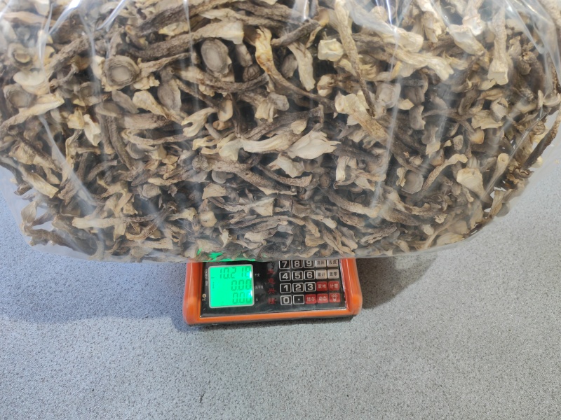 精品鹿茸菇干货菌菇干货批发零售质量好价格低大量现货
