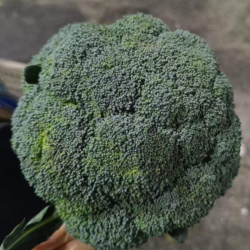 西兰花