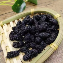 全年供应黑桑椹桑葚速冻冻果万亩果园产地直发价格实惠