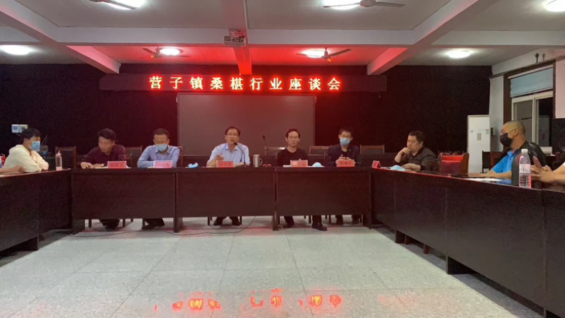 桑椹果干超高花青素自然晾晒无硫无沙