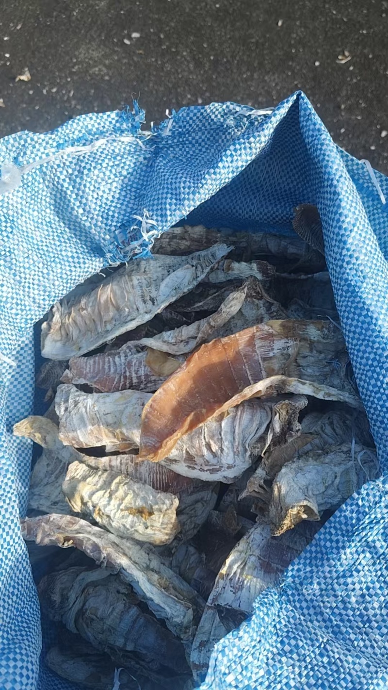 笋干要联系