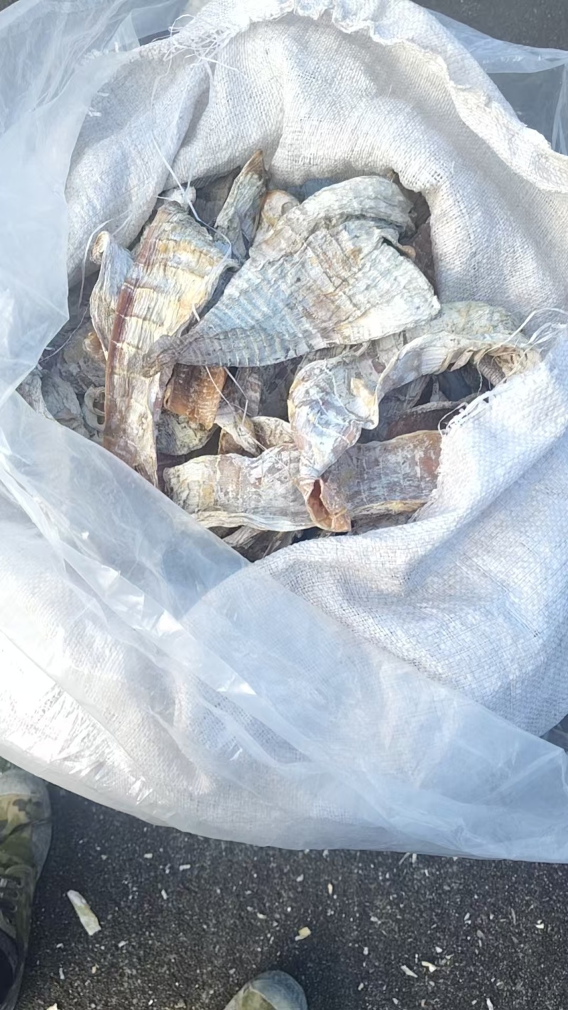 笋干要联系