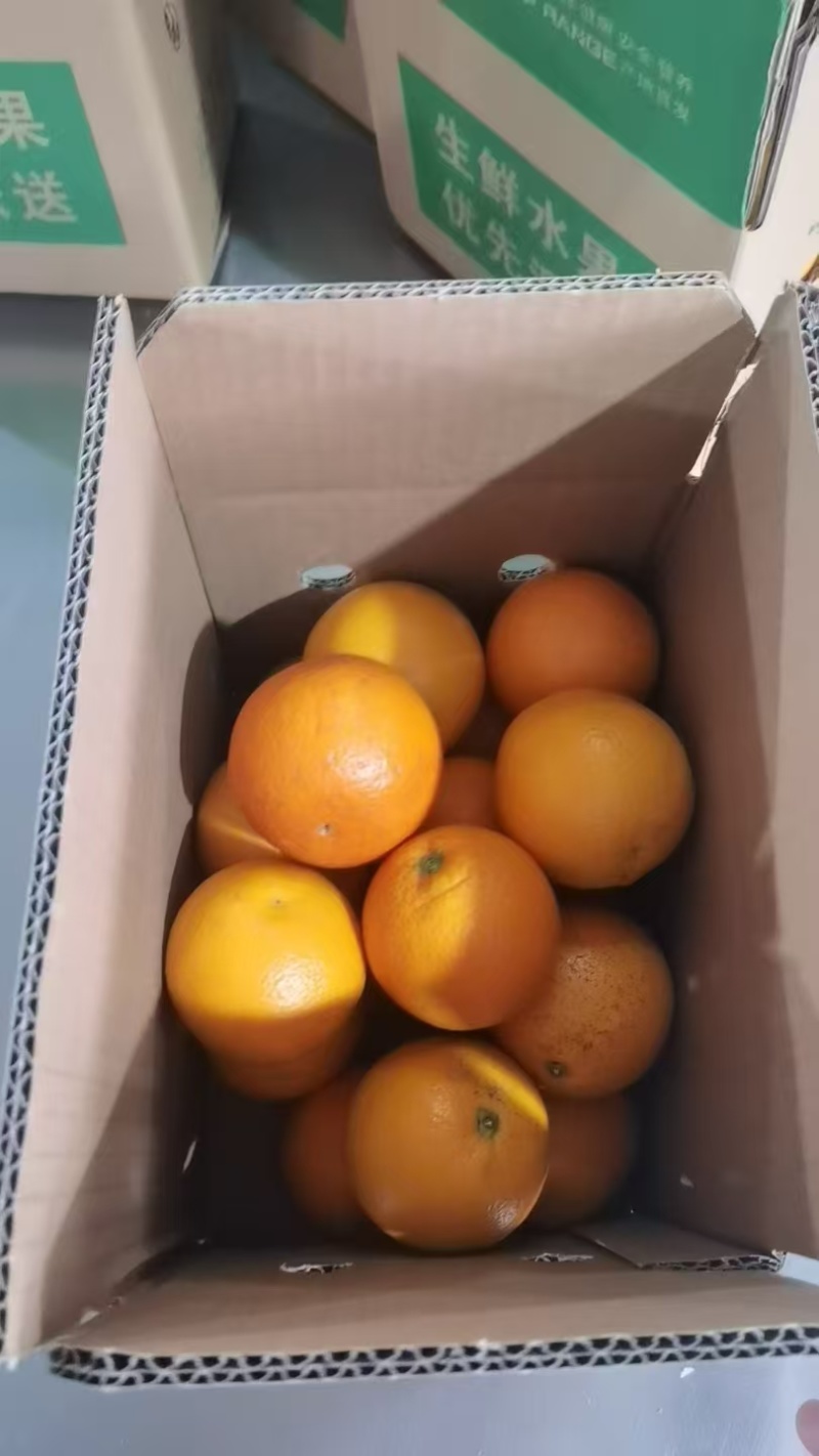 湖北夏橙，5月橙子，口感酸甜汁水多，快递代发