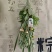 端午节新鲜艾草花环可一件代发可批发