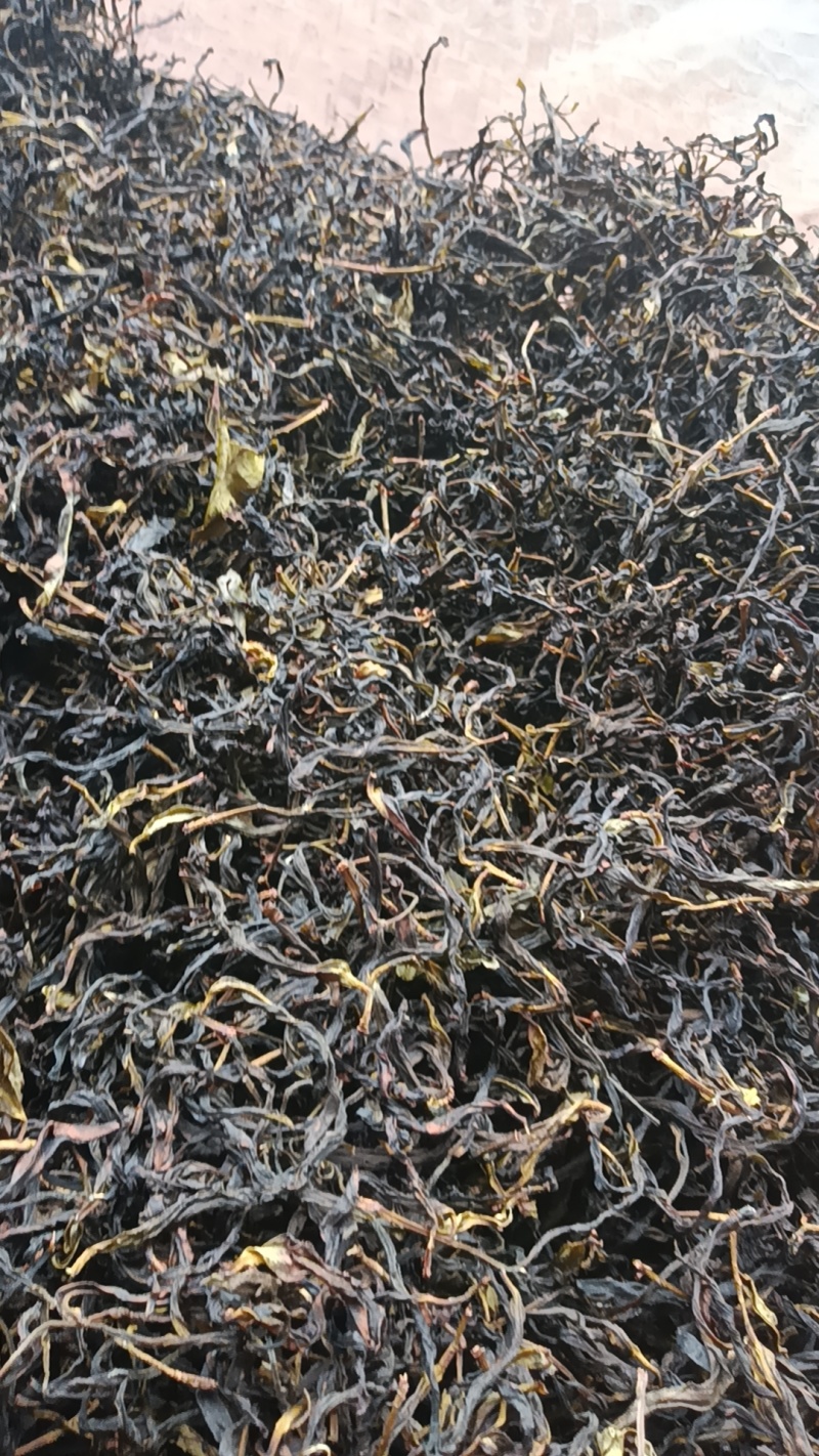 乌龙茶原产地农户自产自销