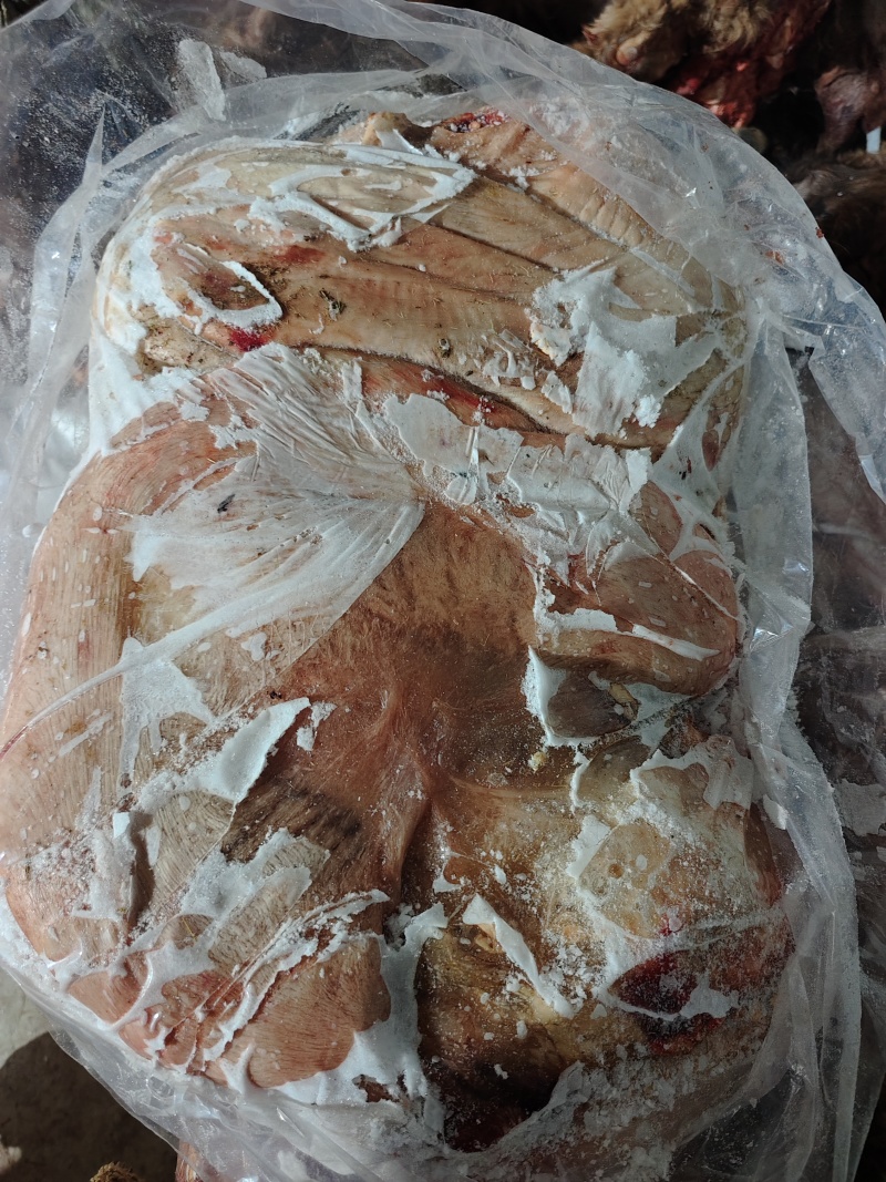 【牛胎盘】黄牛的带自然油，屠宰场下来的，详情里有详细介绍