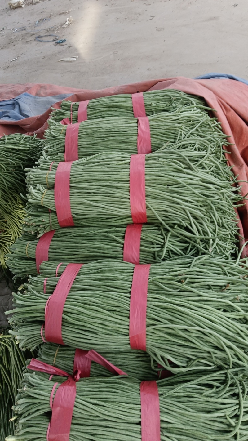 精品长豆角