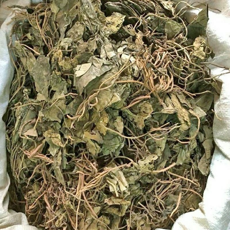 秦岭野生细辛全草干货金耳环正宗野生土细辛南细辛一块瓦苕叶