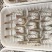 【黄金蝴蝶虾】山东蝴蝶虾/山东黄金虾/电商团购一件批发