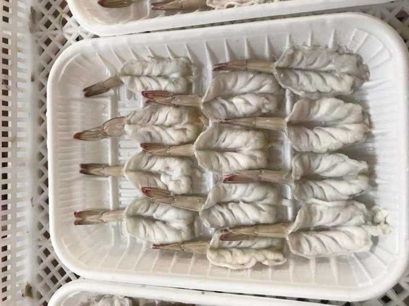 【黄金蝴蝶虾】山东蝴蝶虾/山东黄金虾/电商团购一件批发