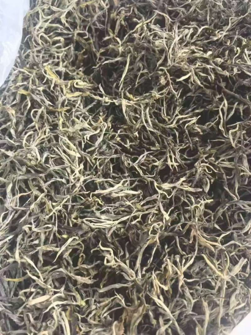 普洱大树茶绿茶