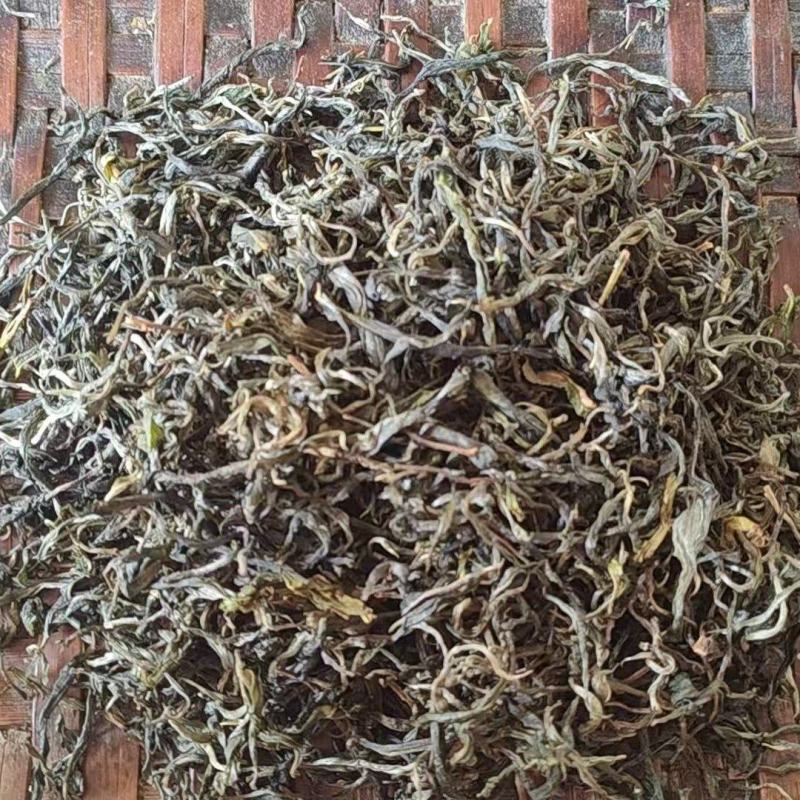普洱大树茶绿茶
