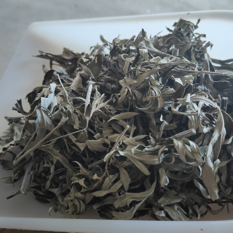 禽畜饲料喂养野生小叶艾香味足批发保证质量