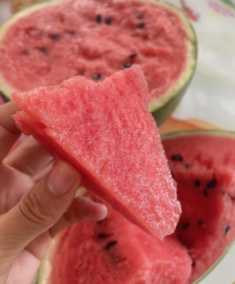 辽南中油4号/黄油桃/辽宁黄油桃/精品黄油桃/脆甜多汁