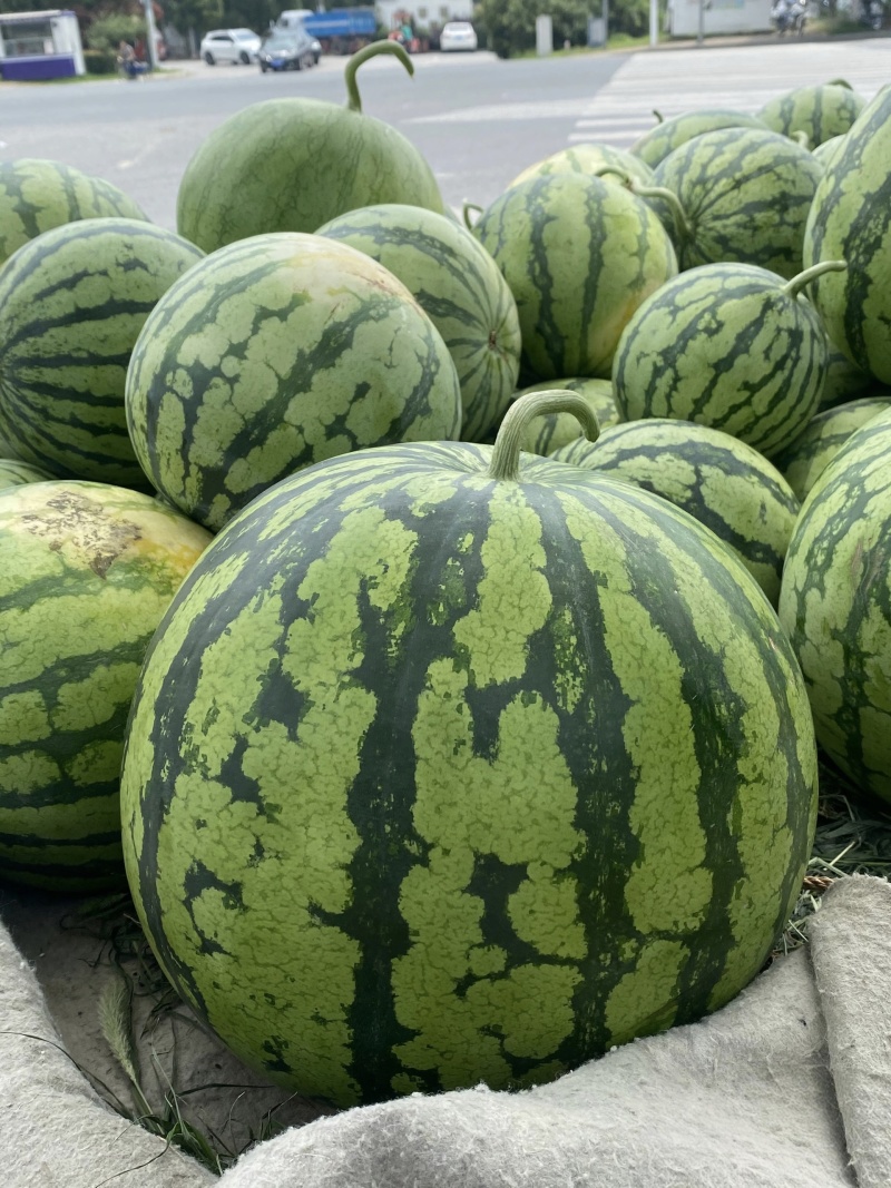 辽南中油4号/黄油桃/辽宁黄油桃/精品黄油桃/脆甜多汁