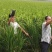 常德甲鱼乌鳖，养殖基地一手货源，保质保量，可视频看货