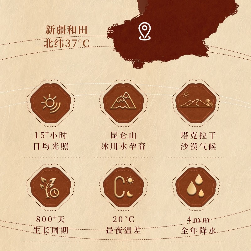 肉苁蓉，浓缩液，品质优良，药用价值高