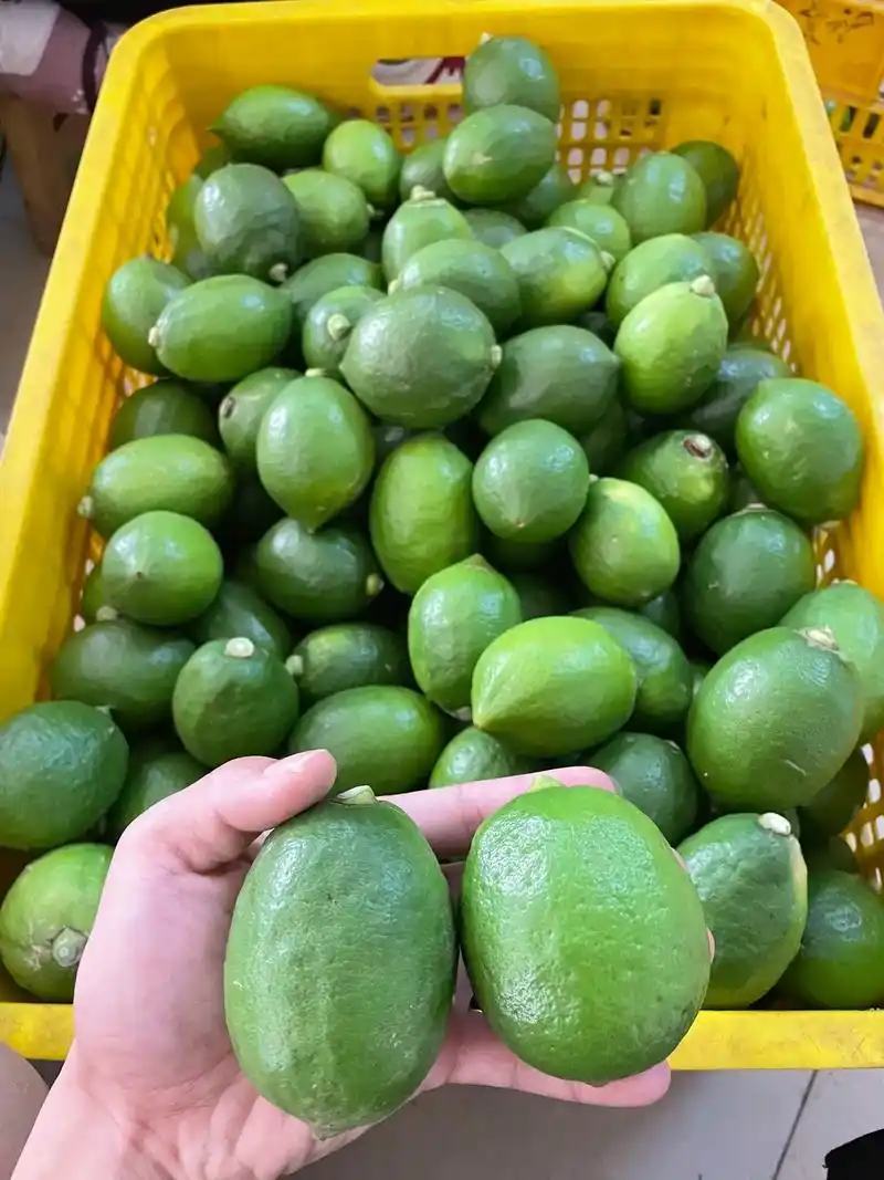 香水柠檬，精品果，电商一件代发诚信经营欢迎咨询