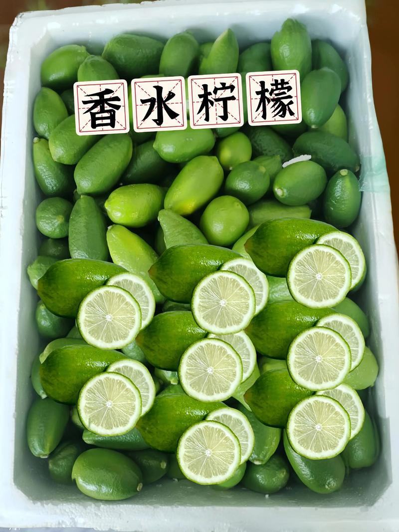 香水柠檬，精品果，电商一件代发诚信经营欢迎咨询