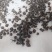 自家种植猫爪草批发块根饱满紧实、爪形完整，无硫熏***