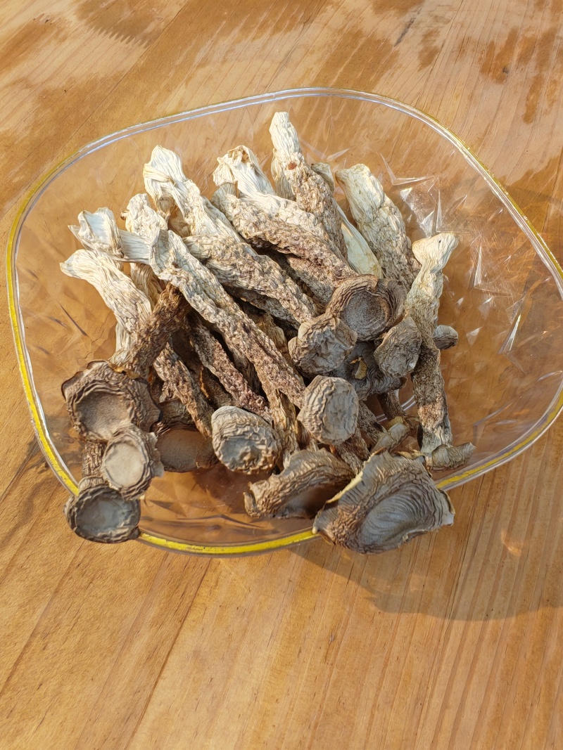 精品鹿茸菇干货质量好价格低无硫熏无沙去根净重发货