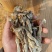 精品鹿茸菇干货质量好价格低无硫熏无沙去根净重发货