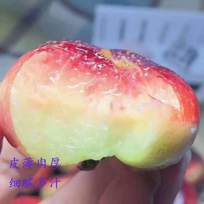 《热卖》陕西油蟠桃36-3基地直发纽扣蟠桃对接商超团购