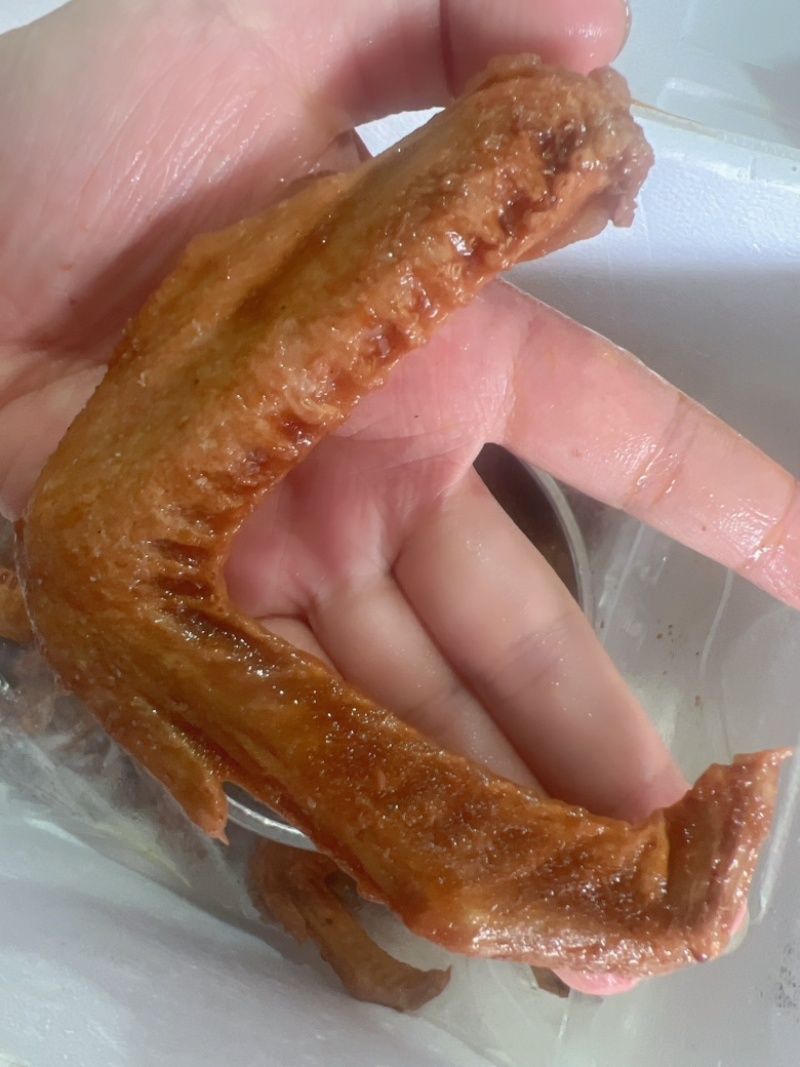 卤水翅地摊电商批发卤水鸭翅鹅翅卤味鸭翅泡鸭翅熟食
