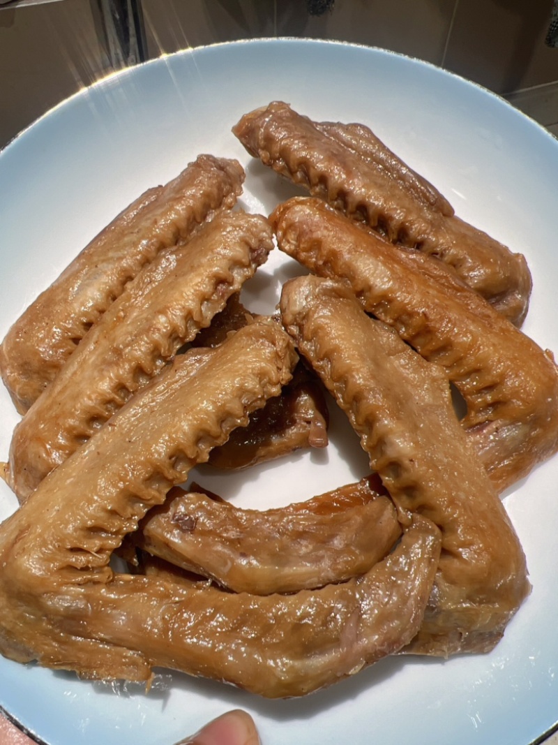 卤水翅地摊电商批发卤水鸭翅鹅翅卤味鸭翅泡鸭翅熟食