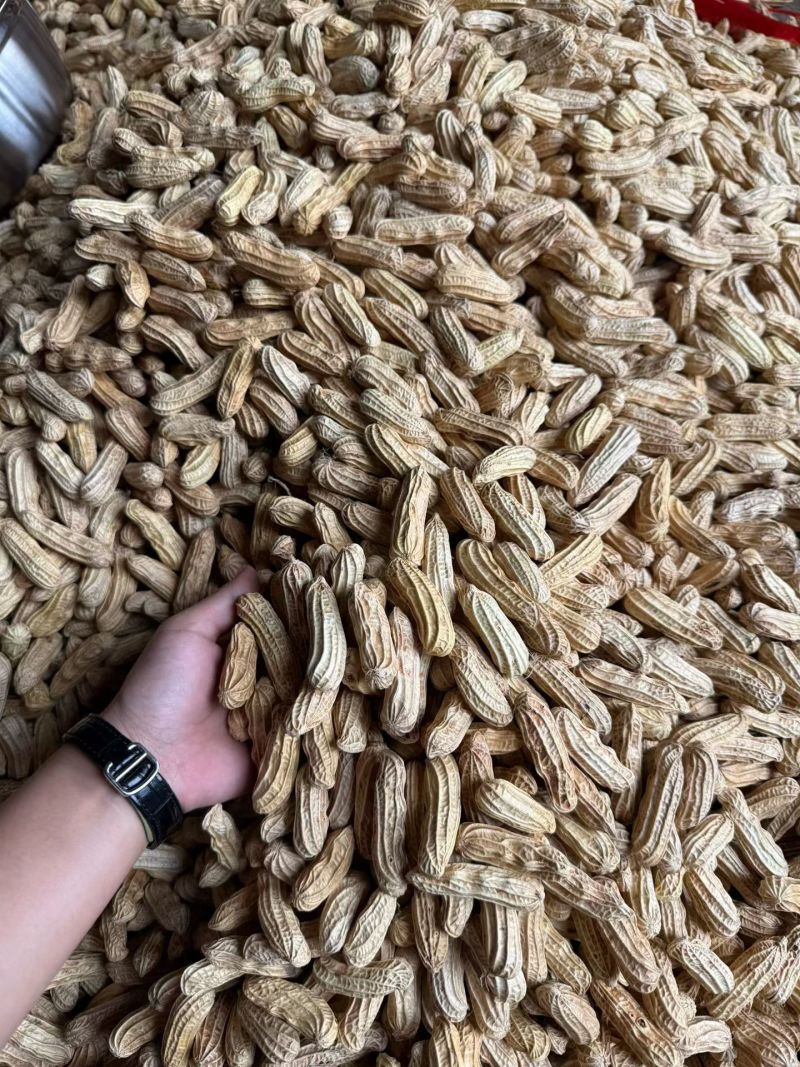 精品黑花生富硒黑花生