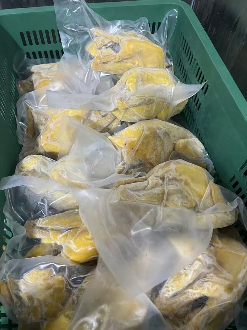 全熟盐焗鸡地摊电商批发五指毛桃盐焗鸡真空盐焗鸡熟食鸡