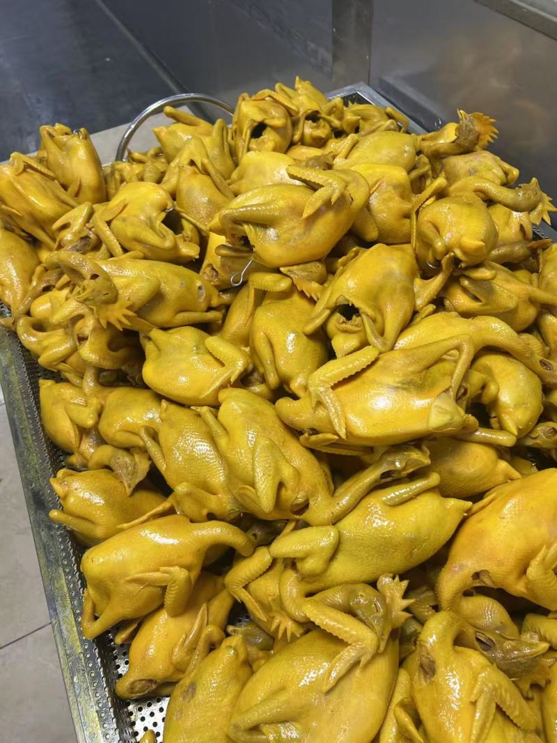 全熟盐焗鸡地摊电商批发五指毛桃盐焗鸡真空盐焗鸡熟食鸡