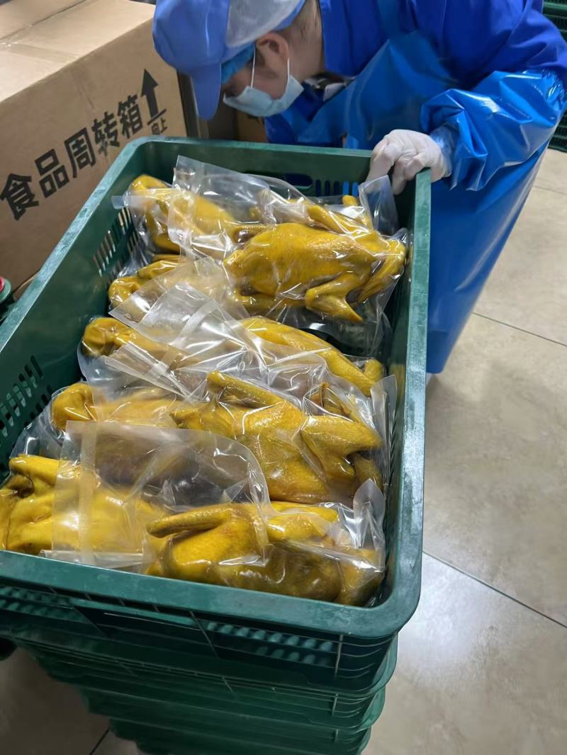 全熟盐焗鸡地摊电商批发五指毛桃盐焗鸡真空盐焗鸡熟食鸡