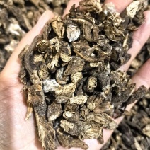 白头翁今年新货物美价廉有现货可打粉