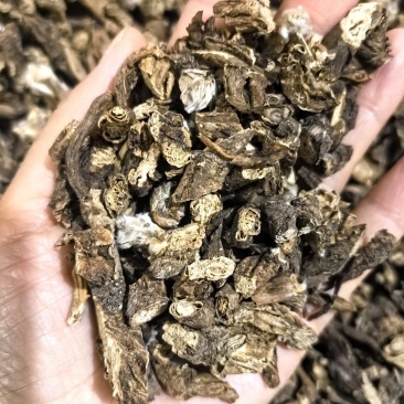 白头翁今年新货物美价廉有现货可打粉