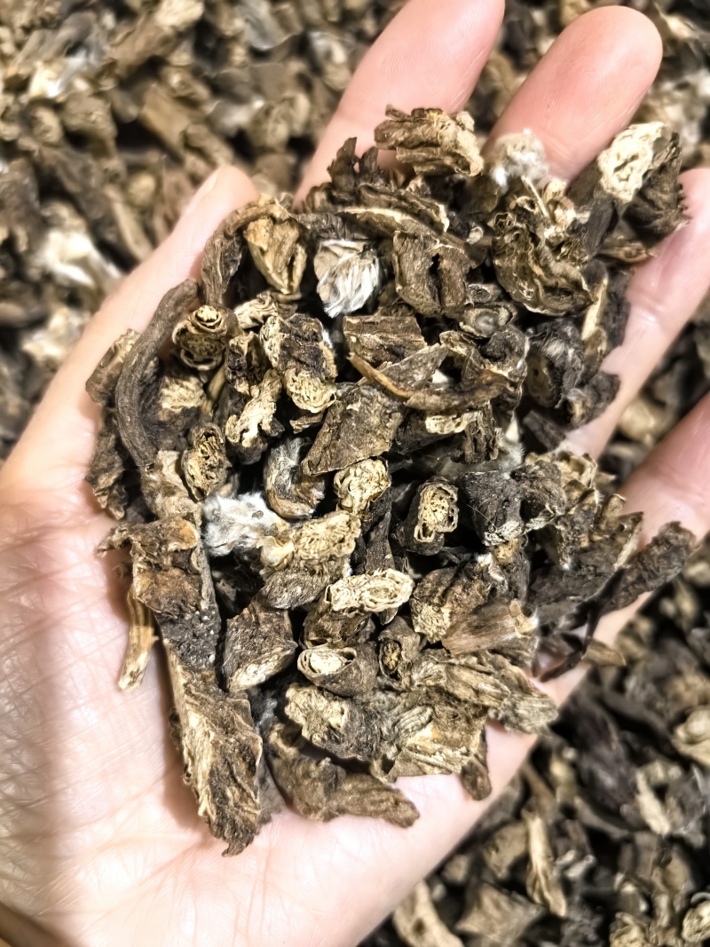 白头翁今年新货物美价廉有现货可打粉
