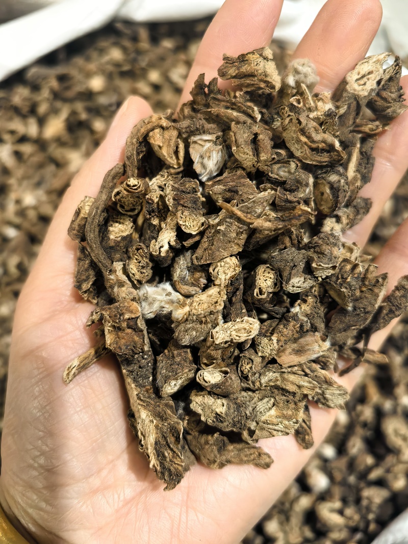 白头翁今年新货物美价廉有现货可打粉