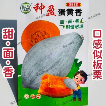 种盈蛋黄香南瓜种子甘面软糯香甜板栗南瓜种子粉糯丑瓜种子