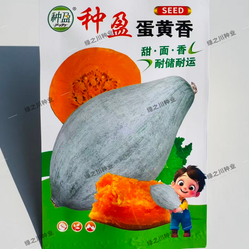 种盈蛋黄香南瓜种子甘面软糯香甜板栗南瓜种子粉糯丑瓜种子