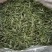 炒青绿茶优质绿茶毛峰口粮茶厂家直供批发