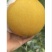 饶阳甜瓜