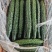 黄瓜油量密刺干花鲜花大量供应商超市场电商支持视频看货