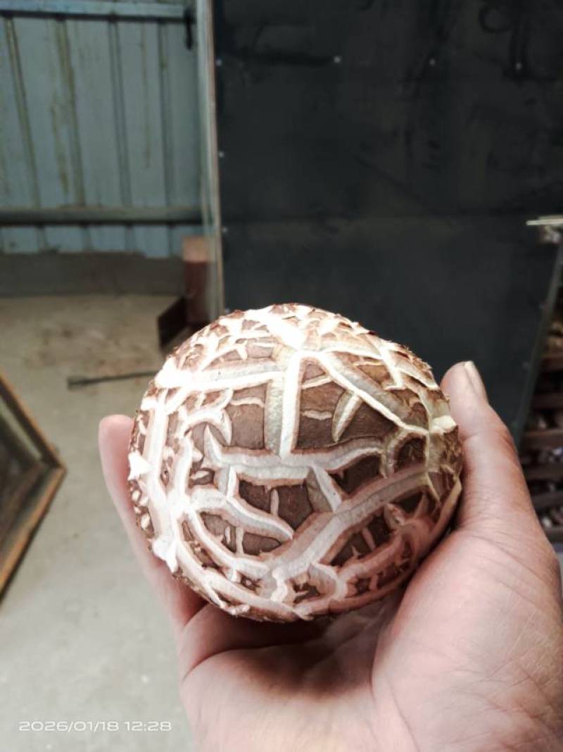 干花姑